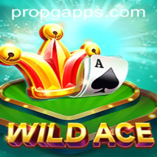 Discovering WildAce: An Engaging Card Game Experience by PROPG.COM
